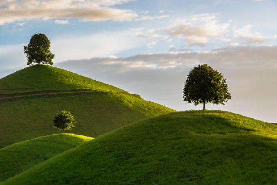  3 Mountain trees landscape during sunset